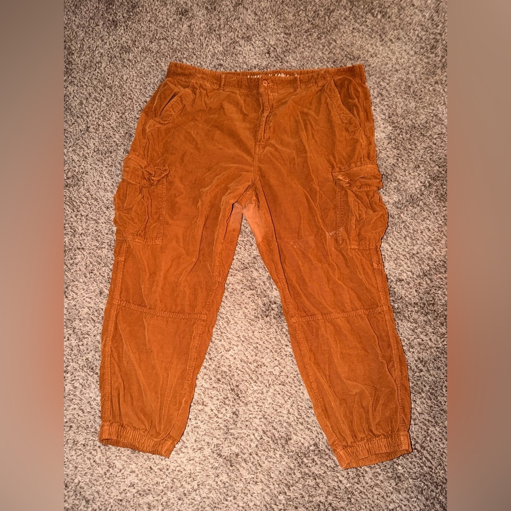 American Eagle Outfitters Corduroy cargo pants